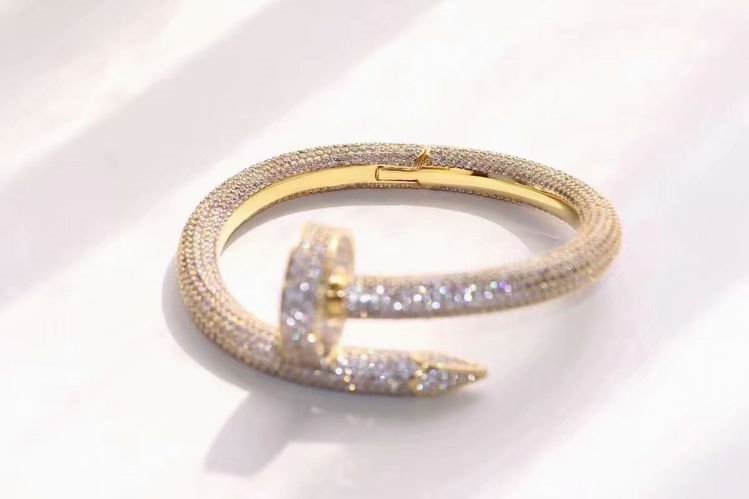 Cartier Bangles 34